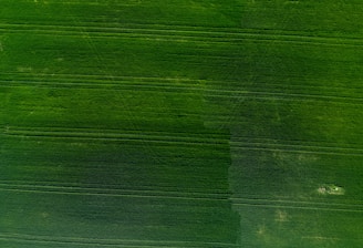 Aerial view of a drone flying over a green agricultural field.