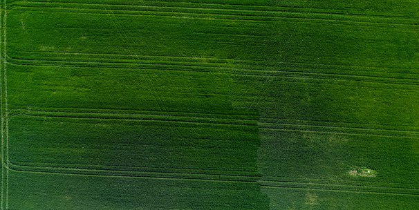 Aerial view of a drone flying over a green agricultural field.