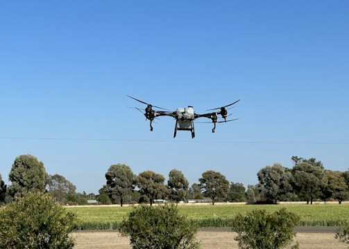 A drone flying over a green agricultural field.